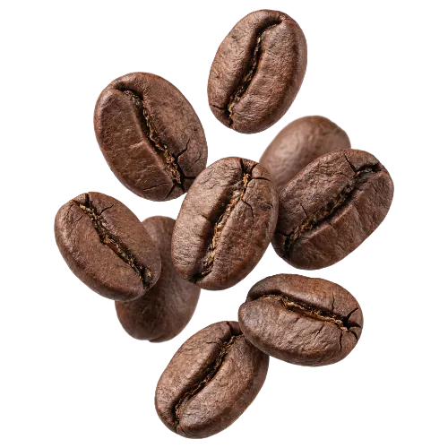 Arabica coffee beans