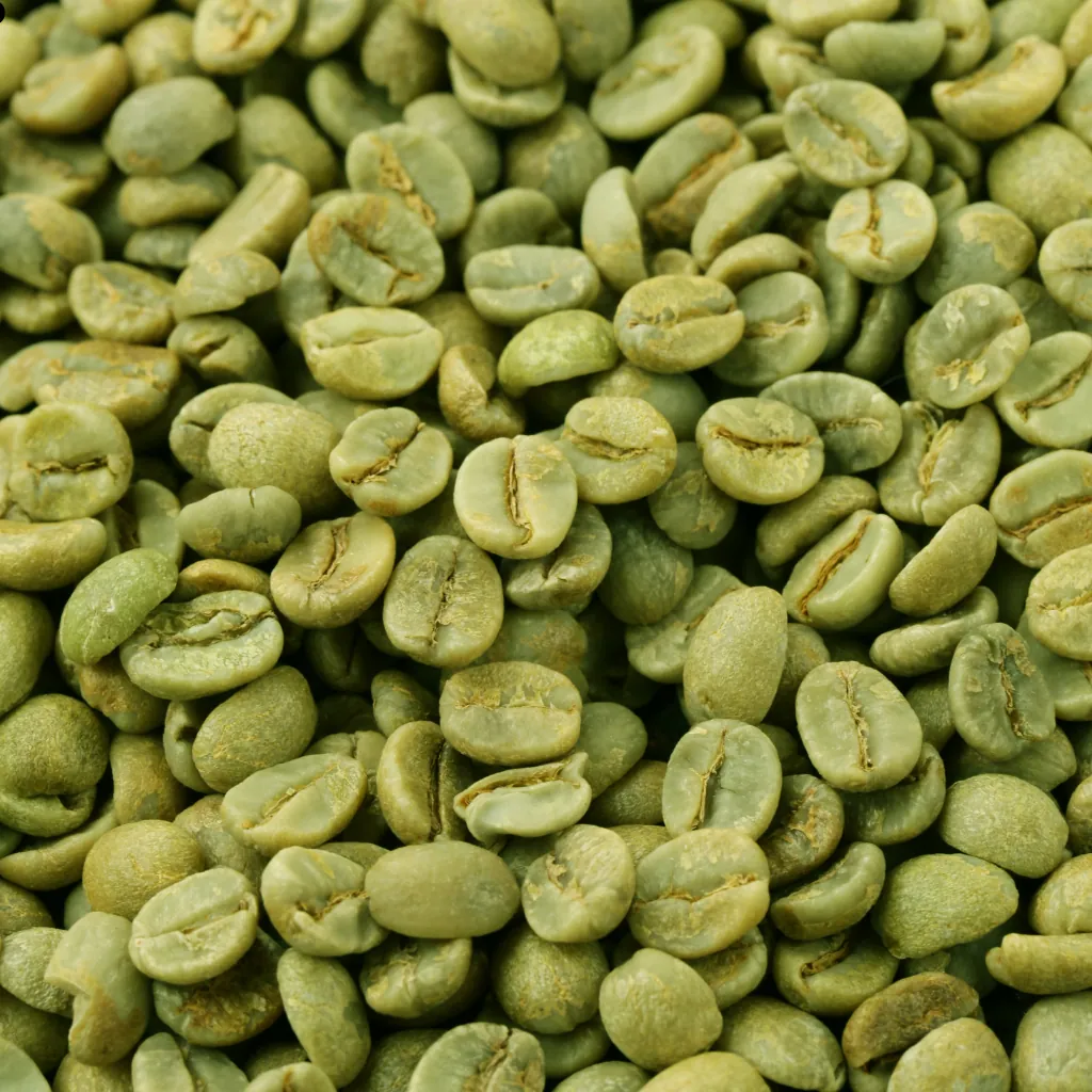 Beans, green coffee from Vidya estates
