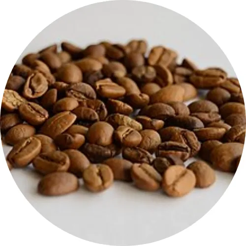 Monsoon Malabar Coffee
