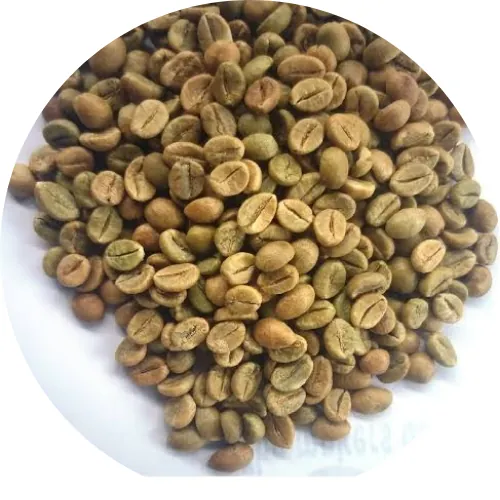 Unwashed Robusta