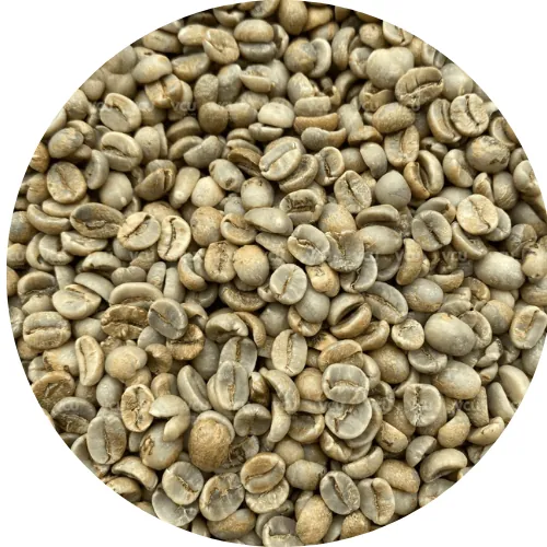 Washed Arabica