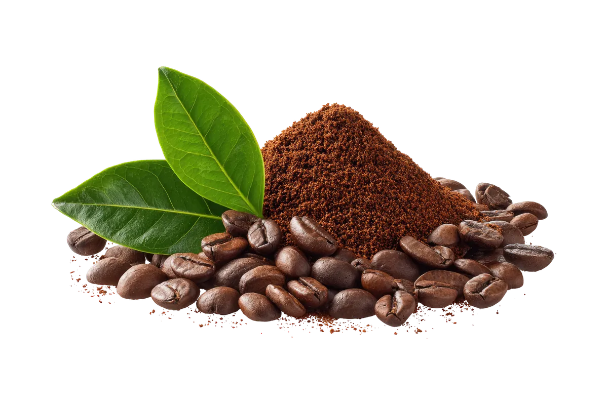 Vidya instant coffee