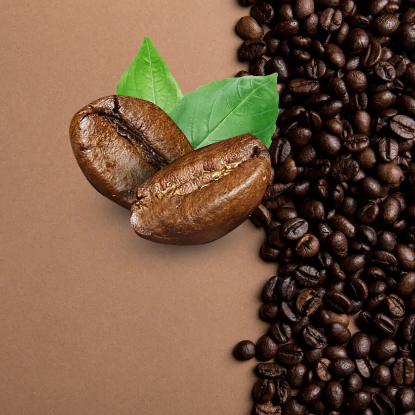 Roasted Beans