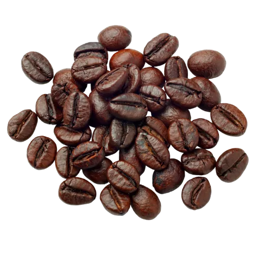 Robusta coffee beans