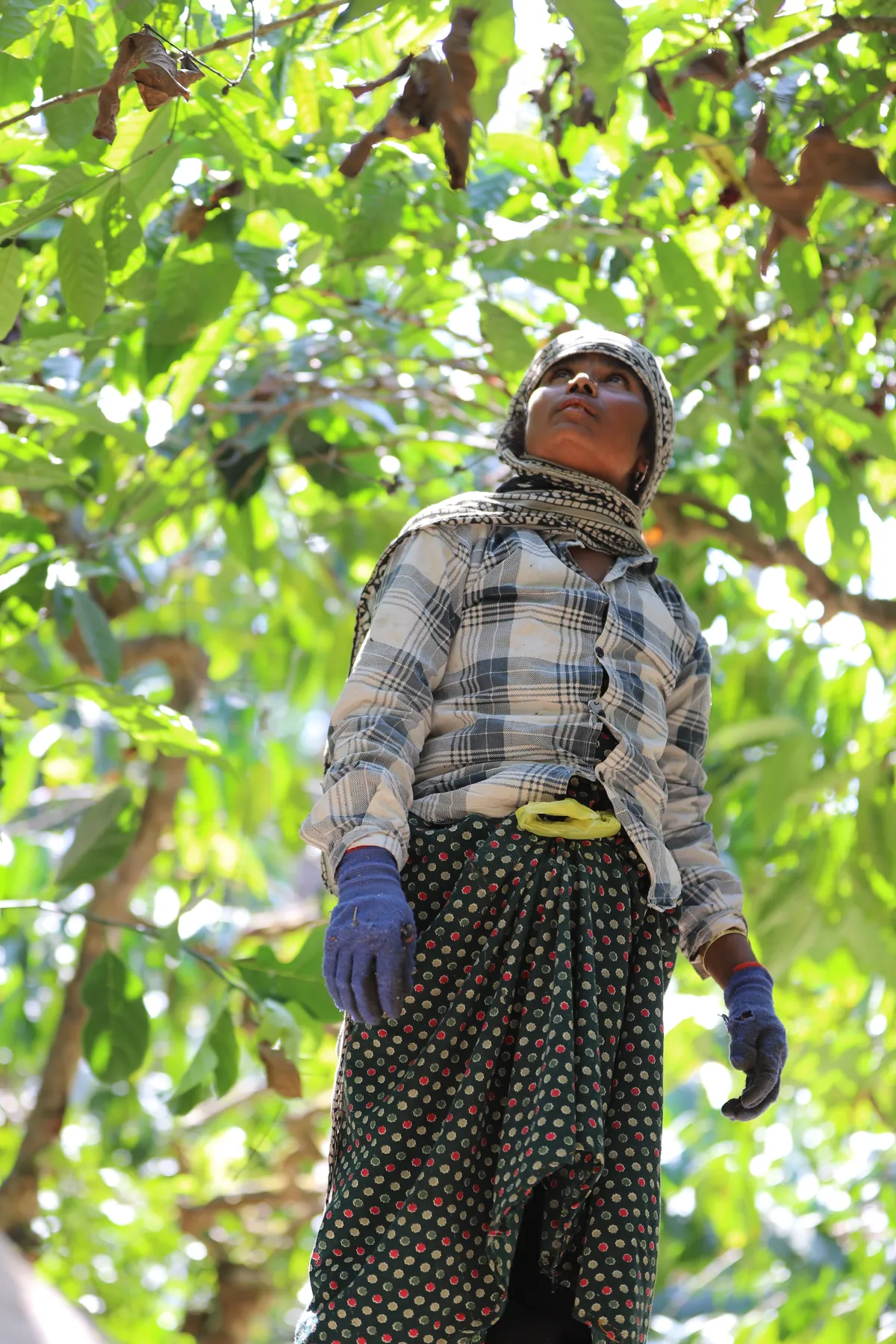 Vidya Coffee Farmer